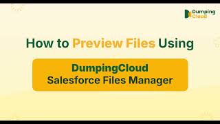 Preview Salesforce Files Without Downloading, Free with DumpingCloud screenshot 5
