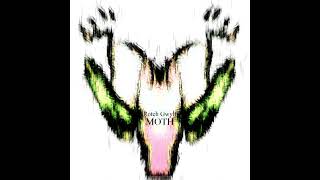 Rotch Gwylt - Moth