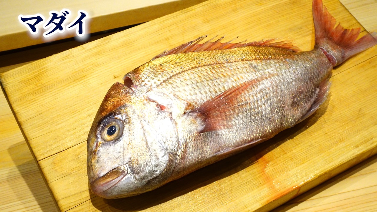 【真鯛を食べ尽くす】身だけでなく、アラや鱗、エラなども食べる方法