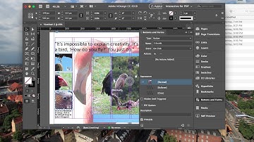 Adobe InDesign | Interactive PDF - Buttons