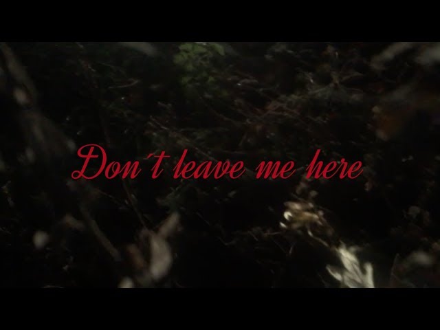 Take Me Away The Dead Lovers Shazam Take Me Away The Dead Lovers Shazam