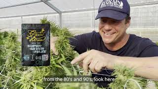 Green House Thailand - This is epic!! Grand Opening 20th of May by Green House Seed Co 223,395 views 1 year ago 4 minutes, 53 seconds