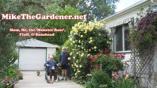 Why I Love Yakima, Washington (USA) in the Spring!   5-24-2020