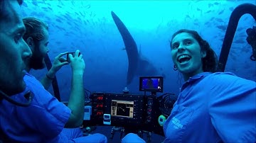 The SEAmagine Experience