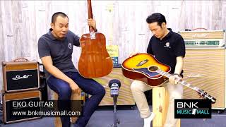 eko guitar design by acousticthai.net