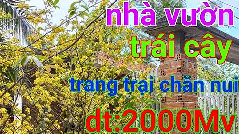 tâp💖473- nhà cấp bốn đẹp-trang trại chăn nui-rộng,vườn trái cây sum- suê.tổng 2000Mv.