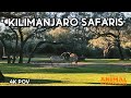 Kilimanjaro Safaris Animal Kingdom 2026