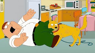Family Guy Full Episode Season 25 Episode 15 Full Episode Family Guy 2026 Full Episode NoCuts #1080p