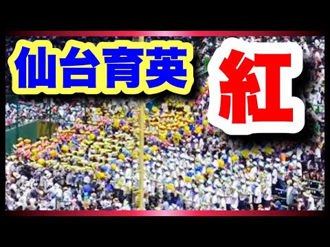 仙台育英 応援【紅】1回戦 飯山高校 対 仙台育英  阪神甲子園球場 2019.8.9