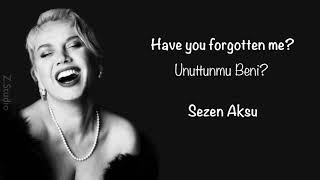 Sezen Aksu - Unuttunmu  Beni? Have you forgotten me? (English translated - subtitled) Resimi