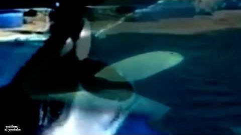 {{Takara&Ulises}} Mep-part