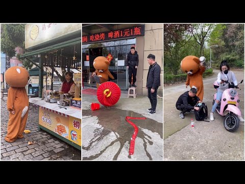 Gấu Nâu Hóng Hách Không Xem Ai Gì - Hóng Hớt Tik Tok