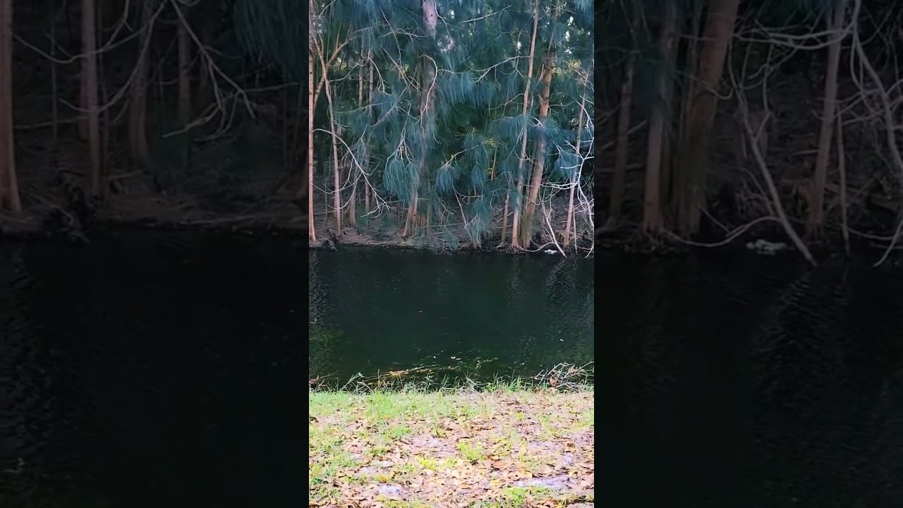 Peaceful Settings.. FIND ONE TODAY AND REFLECT ☝🏾 