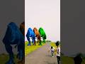 Big Dinosaur Chase T-rex chasing part-24#dinosaur#youtube#dinosaurs#youtubeshorts#shorts