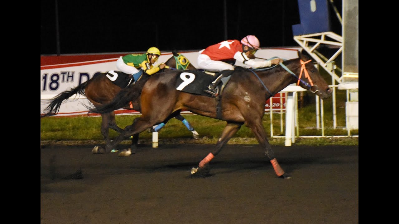 Badge Best Time Racing Program Metro Manila Turf Club Nov. 28, 2019 ...