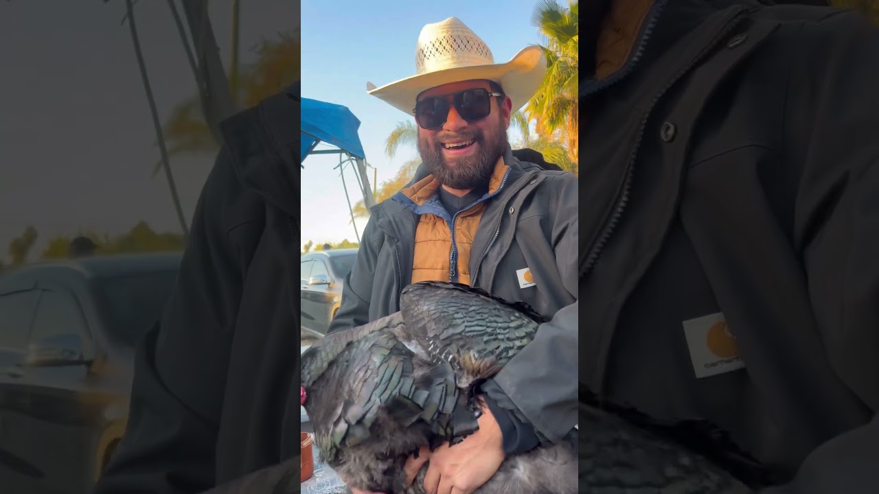 Как правильно обращаться с индейкой 🦃