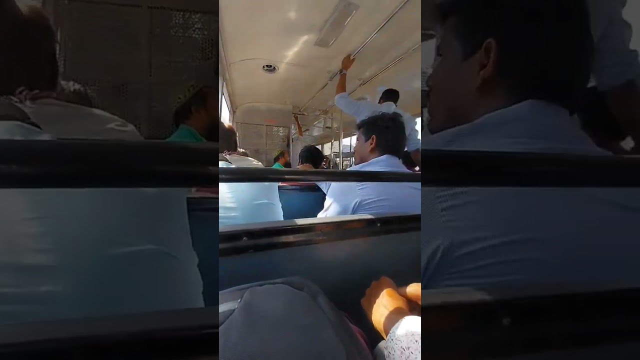mini vlog