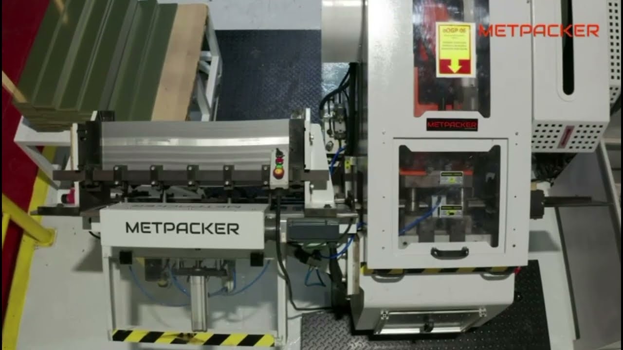 Strip Feed Press (Servo System)