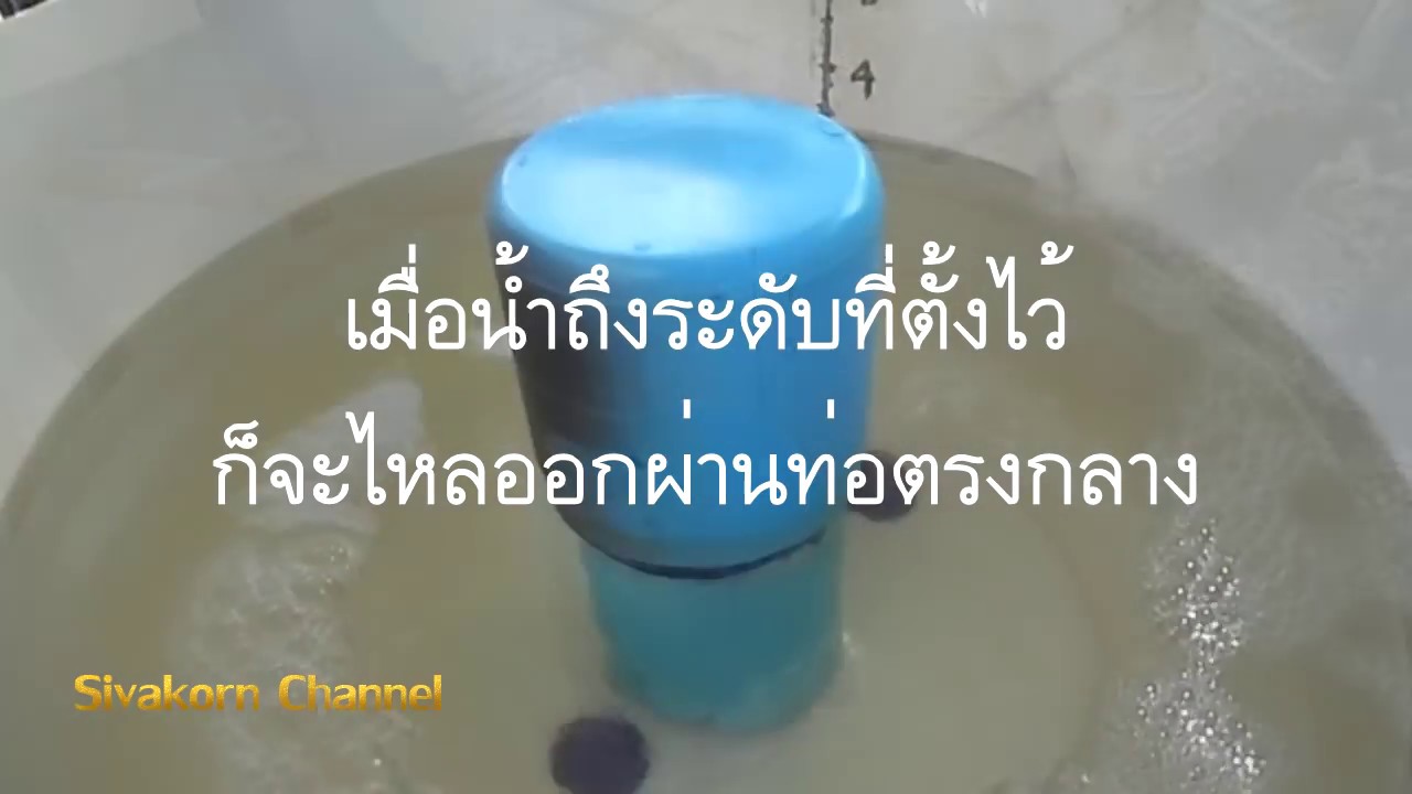 รู้จักกับระบบ Siphon (กาลักน้ำ) สำหรับปลูกผักไร้ดิน