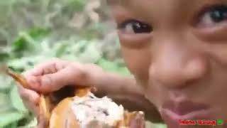 Yo Cuando Veo P3N3S De Conejos En La Vida Real