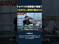 きゅうりの収穫量が激増? つるおろし栽培の基本とは