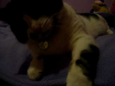 Alice xxx :-) - YouTube