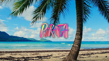 Danny Ocean x El Alfa - Pirata (VISUALIZER)