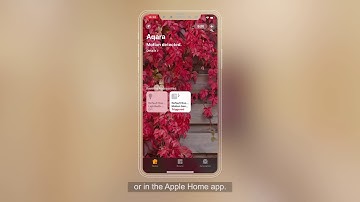 Cách thiết lập cảm biến chuyển động Aqara | Smart HomeKit