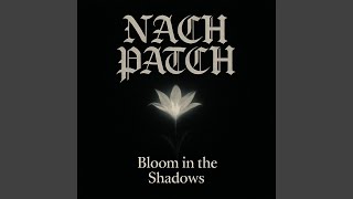 Bloom in the Shadows