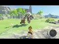 【ブレワイ(BotW)】極限状態で始まりの台地のライネルを倒してみた【ドリカラ】