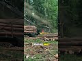Unlock the Secrets of S650 Logging! 🎥