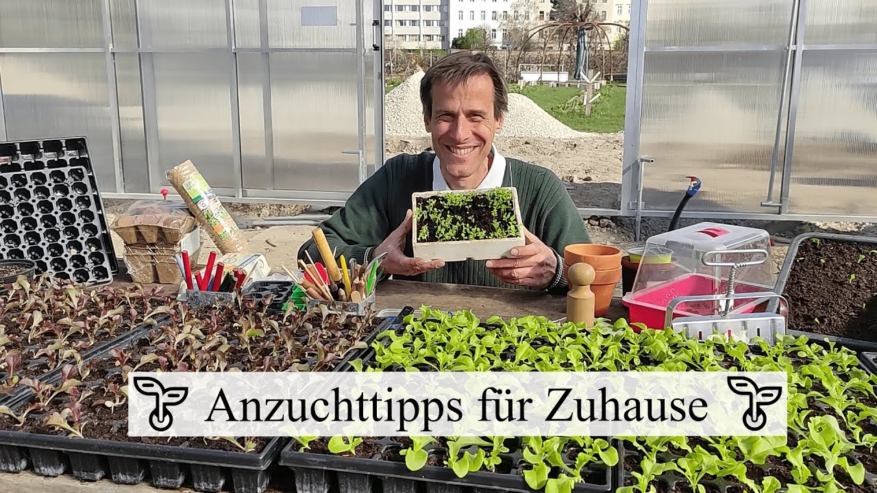 Gemüseanzucht für Zuhause: Multitopfplatten, Paper Pods & Erdtopfpressen im Test 🧐