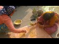 Bori Recipe Process To Bori Shorts Bori Recipe Shortsbeta Village Cooking Vlog Bori Recipe Process To Bori Shorts Bori Recipe Shortsbeta Village Cooking Vlog