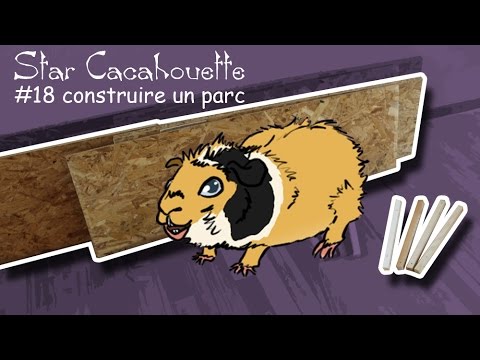 Vidéo: L'alimentation De Votre Cochon D'Inde Fournit-elle Les Bons Nutriments ?