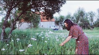 Midnight Sun in the Nordic Countryside | Renovating a abandoned house | Life in Northern Norway #15 Midnight Sun in the Nordic Countryside | Renovating a abandoned house | Life in Northern Norway #15
