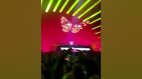 Steelyard liverpool dimitri Vegas like mike