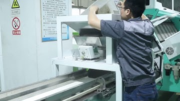 Pistachio color sorting video