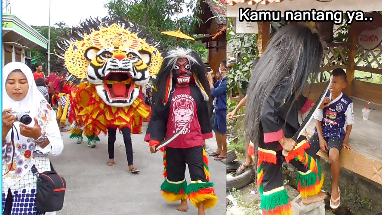 NGAKAK DIKEJAR BARONGAN SETANAN DAPAT TELOR BANYAK