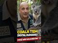 A DIGITAL DO COALA VAI TE CHOCAR! 🐨