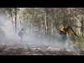 Watch how prescribed burns reduce wildfire risk in South Carolina