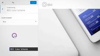 How to change Business Pro Divi Child Theme Color Scheme!