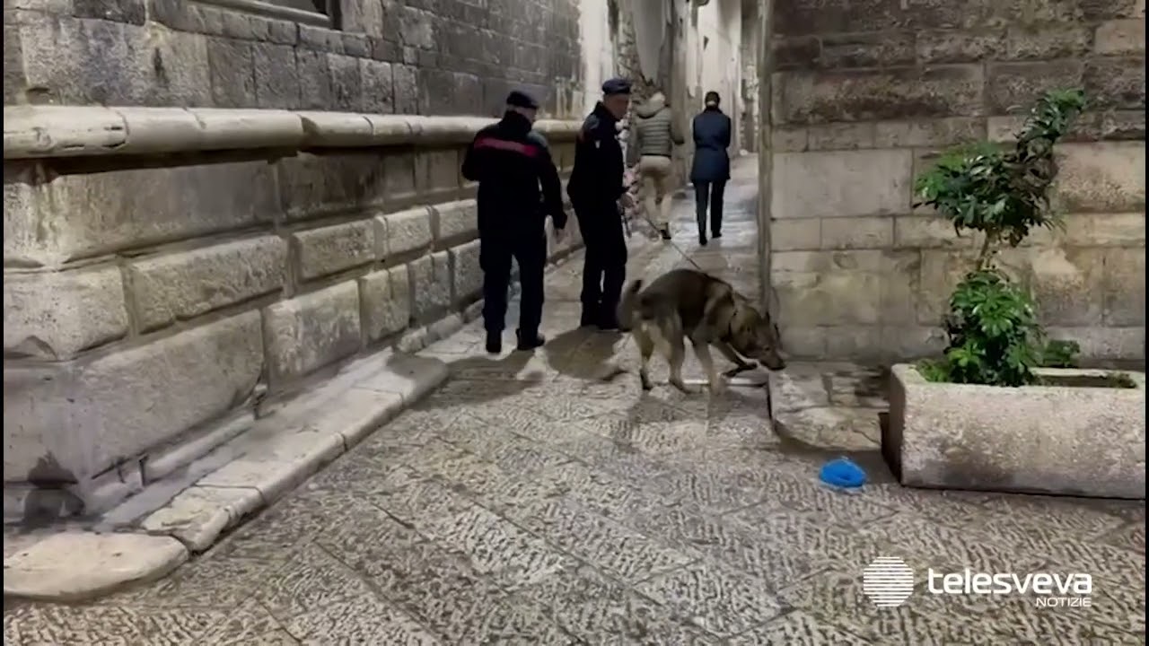 Bitonto, maxi blitz antidroga nel centro storico con droni e 100 Carabinieri impiegati