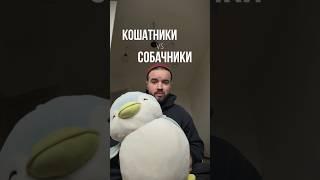 Кошатник vs собачник