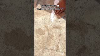 12 Year Guarantee Waterproofing Step by Step | Complete Terrace Waterproofing Process #explorepage