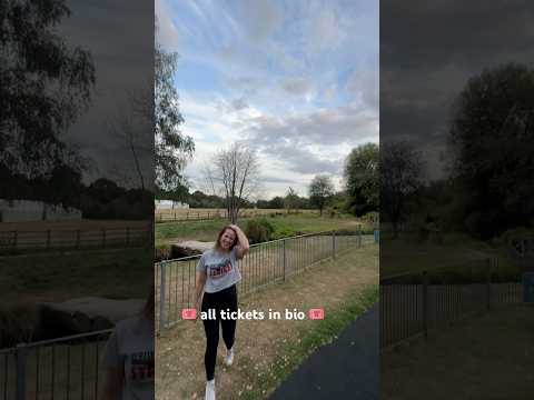 Alone In A Park