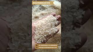 Premium IR 64 Parboiled Rice from Yuvaraju Agro Impex! #exportquality #agroexport #globaltrade