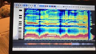 tran quang hai uses the software Overtone Analyzer to show it with spectrum screenshot 5