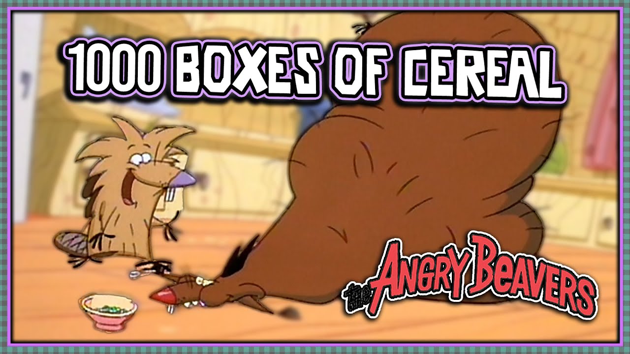 Dag’s Box-Top Breakdown | Boxtop Beavers