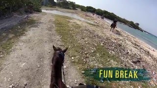 Fun Break: Horseback Riding In Jamaica with Trudy & Kadian
In this edition of Fun Break, its Try Something New Thursdays....Trudy from Operations and Kadian from our Island Routes Call Center swam while on horseback for the first time ever!
At Island Routes we are always finding ways to #livefunner .... after all, its our job! We randomly select 2 members of our team to go out on what we like to call FUN BREAK ... and yes, fun is built into our job descriptions!
For more information about the Island Routes Horseback Ride n Swim, click here: http://bit.ly/1IbqMJE
Check out Island Routes online:
Online: https://www.islandroutes.com
Twitter: https://twitter.com/islandroutes
Instagram: https://www.instagram.com/islandroutes/
Facebook: https://www.facebook.com/islandroutes/ Fun Break: Horseback Riding In Jamaica with Trudy & Kadian