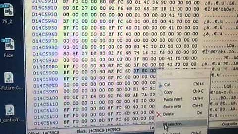 How to make a code useing a ram dump